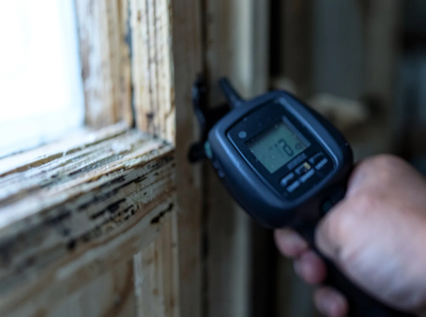 Moisture Inspection And Documentation in Lodi, NJ